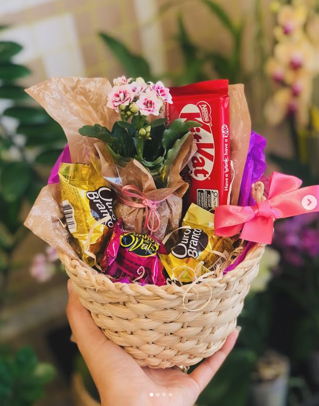 Cesta de presente com planta florida e chocolates