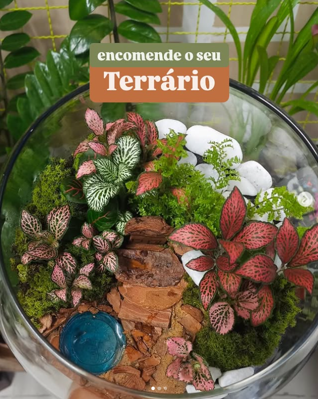 Terrário de vidro com plantas e musgo