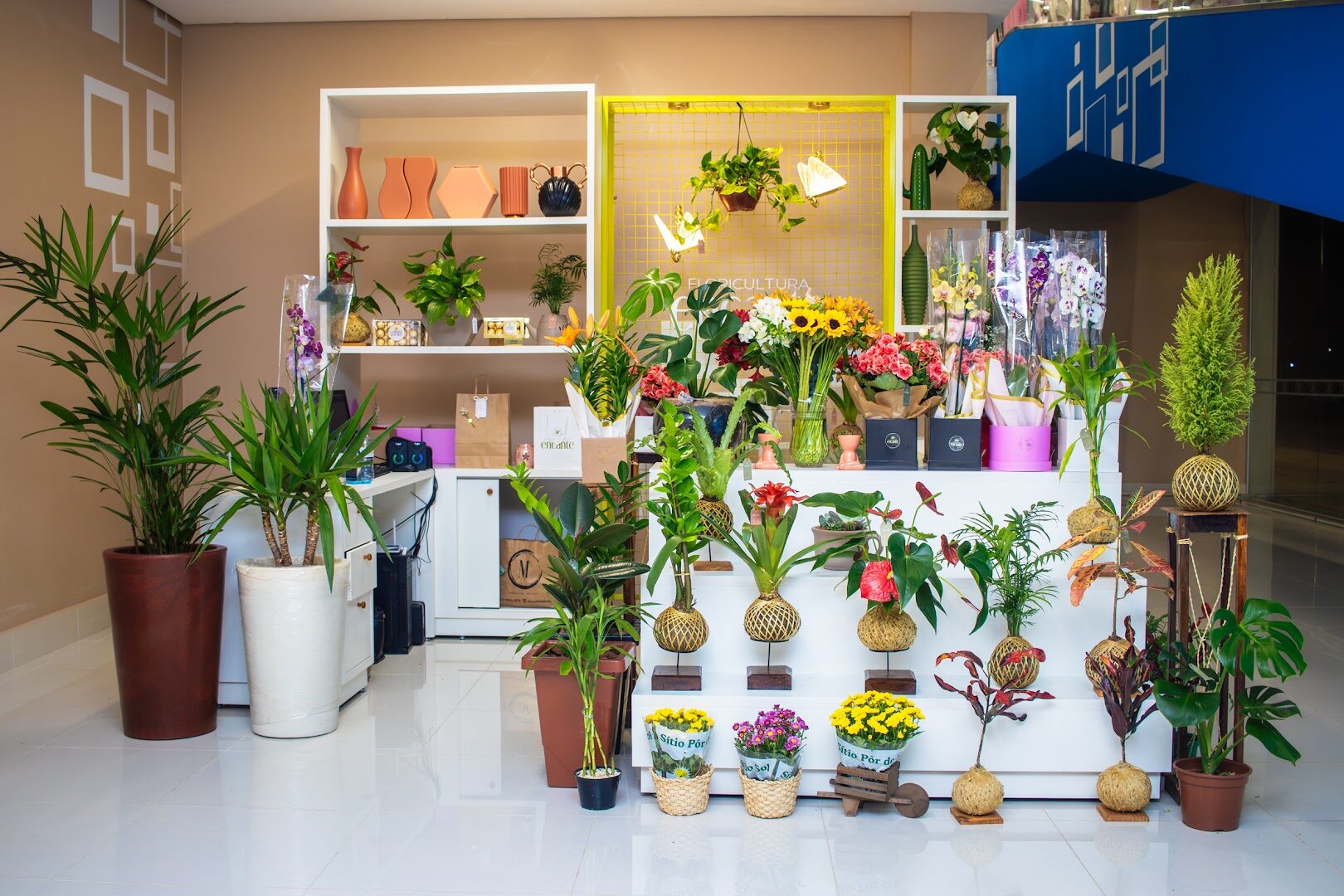 Interior da Floricultura Encante repleto de plantas, buquês, kokedamas e vasos decorativos