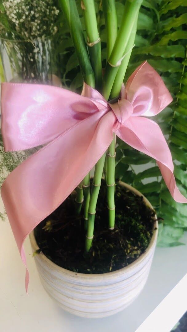 Bambu da sorte com laço de cetim rosa em vaso decorativo