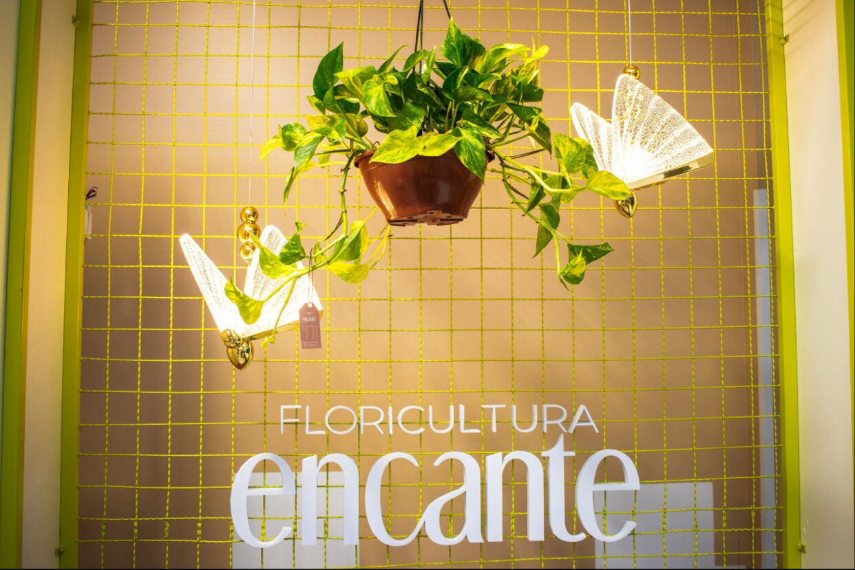 Parede assinatura da loja com o logotipo Floricultura Encante, planta pendente e luminárias douradas